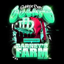 Bubblegum Gelato 25 u. fem. Barney's x Backpack Boyz