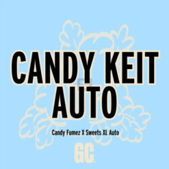 Candy Keit Auto  5 u.  Grand Cru Genetics