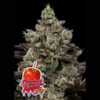 Caramel Apple Drip   fem Anesia