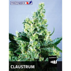 Claustrum fem. Positronics Seeds