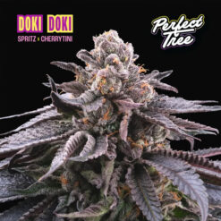 Doki Doki 6 u. fem Perfect Tree