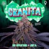 Granita 3+1 u. fem Perfect Tree