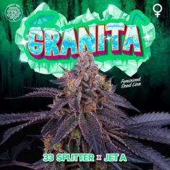 Granita 3+1 u. fem Perfect Tree