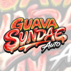 Guava Sundae Auto