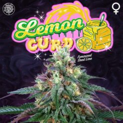 Lemon Curd 3+1 u. fem Perfect Tree
