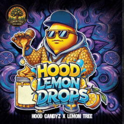 Lemon Hood Drops  fem Elev8 Seeds