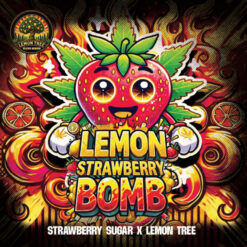 Lemon Strawberry Bomb  fem Elev8 Seeds