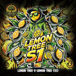 Lemon Tree S1   fem Elev8 Seeds