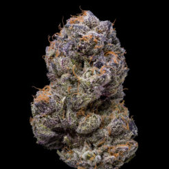 Lemongrass fem. Cookies Seed Bank