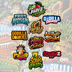 Mix Pack Auto