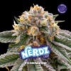Nerdz   fem BSF Seeds