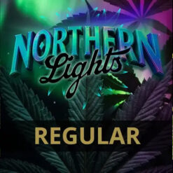 Northern Lights  Reg Barney's
