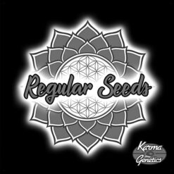 Now N Melon 6 u. fem Karma Genetics