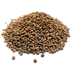 Orange Sherbert Granel 100 ud.