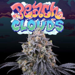 Peach Clouds 3+1 u. fem Perfect Tree