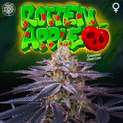 Rotten Apple 3+1 u. fem Perfect Tree