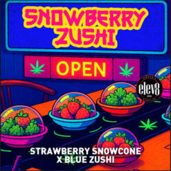 Snowberry Zushi  fem Elev8 Seeds