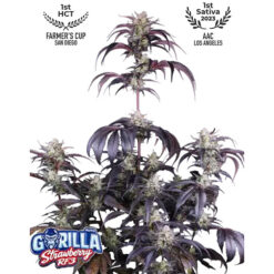 Strawberry Gorilla Auto RF3