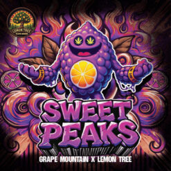 Sweet Peaks  fem Elev8 Seeds