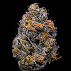 Velvet Cream fem. Cookies Seed Bank