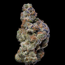 White Coconut Pie fem. Cookies Seed Bank