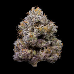 ZZ4 fem. Cookies Seed Bank