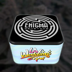 Alternative view of Dante´s Inferno  Enigma Genetics