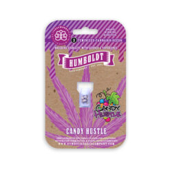 Alternative view of Candy Hustle  fem Humboldt Seeds Company